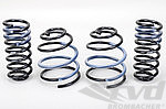 997 Lowering Springs PASM (Tüv) Front /Rear 30mm, only C3.6, CS3.8